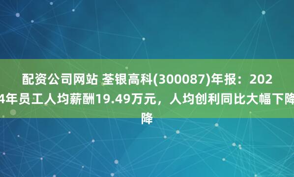 配资公司网站 荃银高科(300087)年报：2024年员工人均薪酬19.49万元，人均创利同比大幅下降