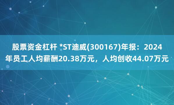 股票资金杠杆 *ST迪威(300167)年报：2024年员工人均薪酬20.38万元，人均创收44.07万元