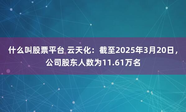 什么叫股票平台 云天化：截至2025年3月20日，公司股东人数为11.61万名