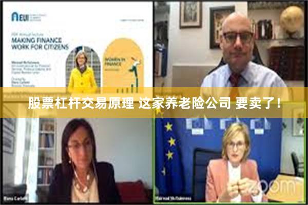股票杠杆交易原理 这家养老险公司 要卖了！
