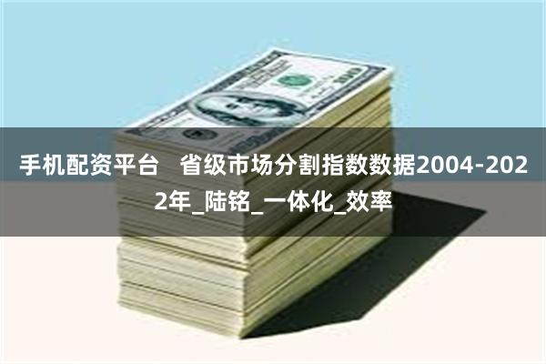 手机配资平台   省级市场分割指数数据2004-2022年_陆铭_一体化_效率