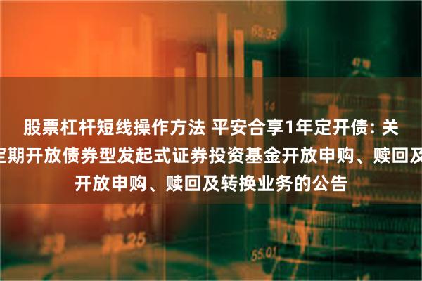 股票杠杆短线操作方法 平安合享1年定开债: 关于平安合享1年定期开放债券型发起式证券投资基金开放申购、赎回及转换业务的公告