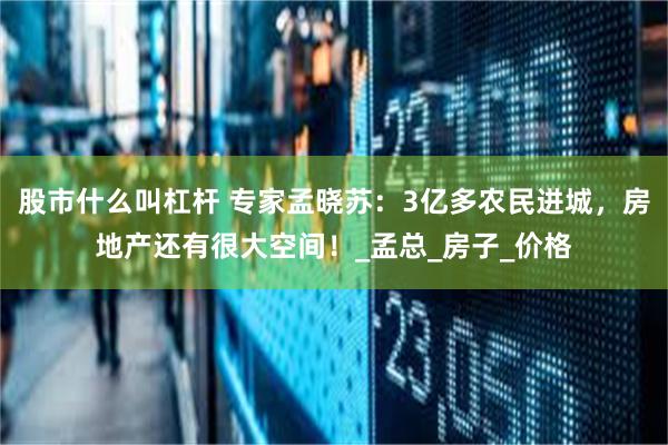 股市什么叫杠杆 专家孟晓苏：3亿多农民进城，房地产还有很大空间！_孟总_房子_价格