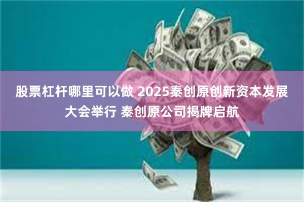 股票杠杆哪里可以做 2025秦创原创新资本发展大会举行 秦创原公司揭牌启航