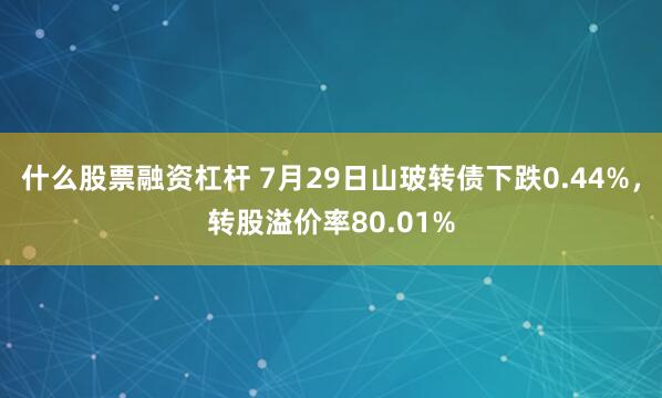 什么股票融资杠杆 7月29日山玻转债下跌0.44%，转股溢价率80.01%